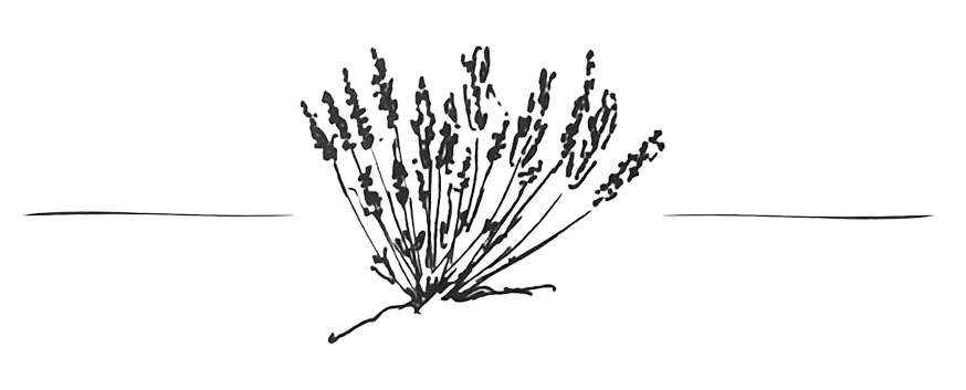 separateur lavandes 2