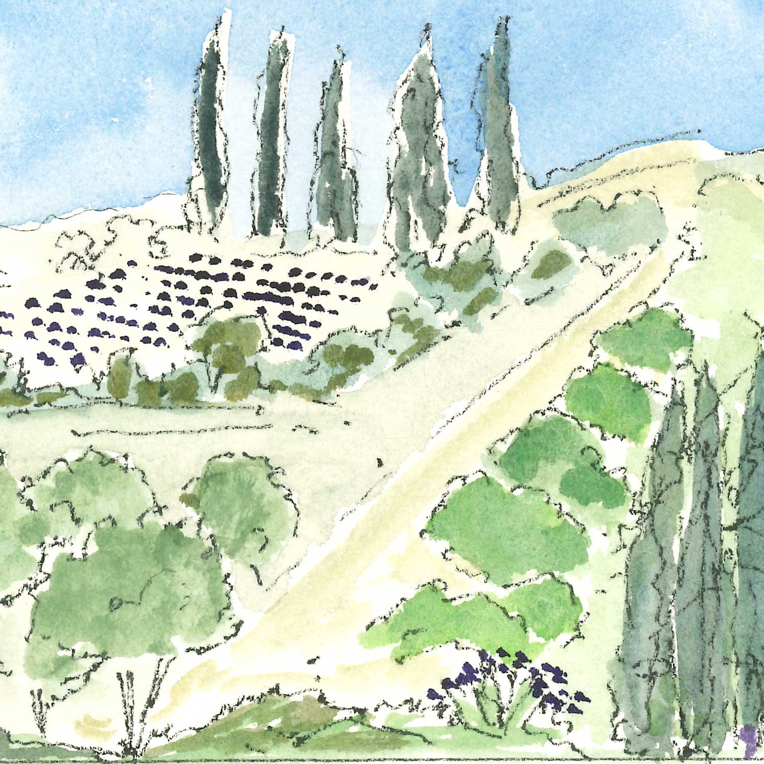 caracteristiques locales