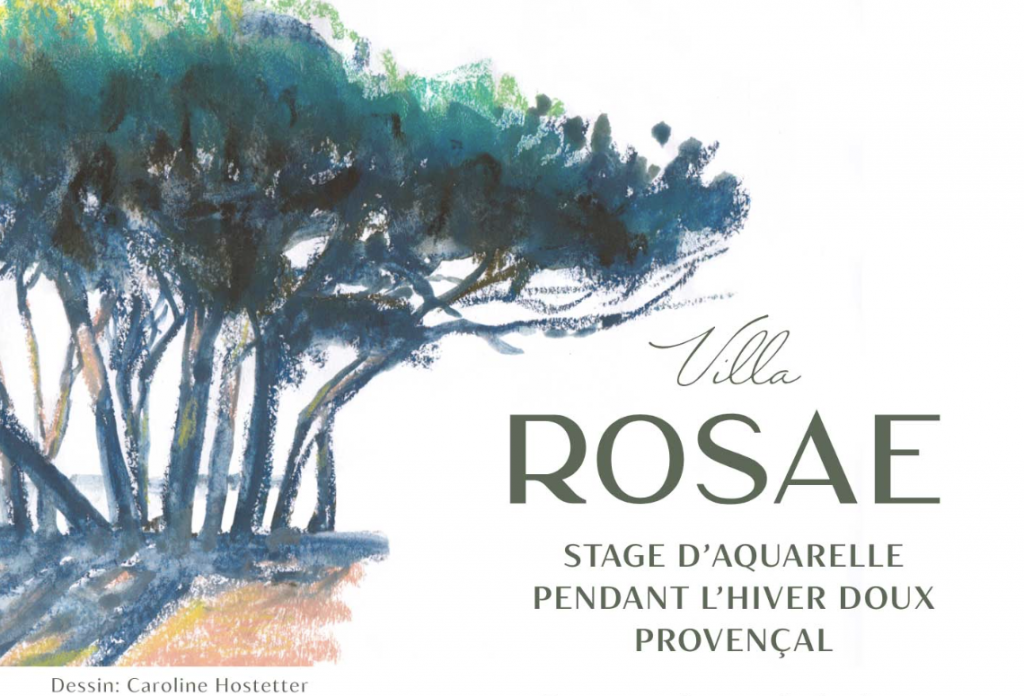 perspectives végétales et alignements provençaux