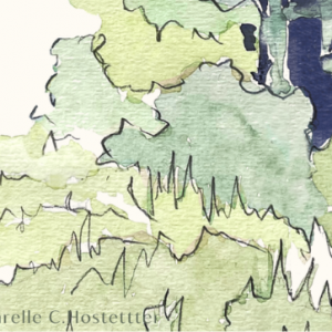 végétation méditerranéenne