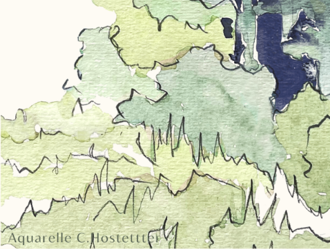 végétation méditerranéenne