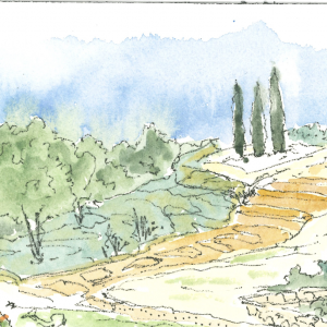 lumières de provence