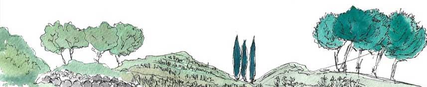 illustration campagne provence