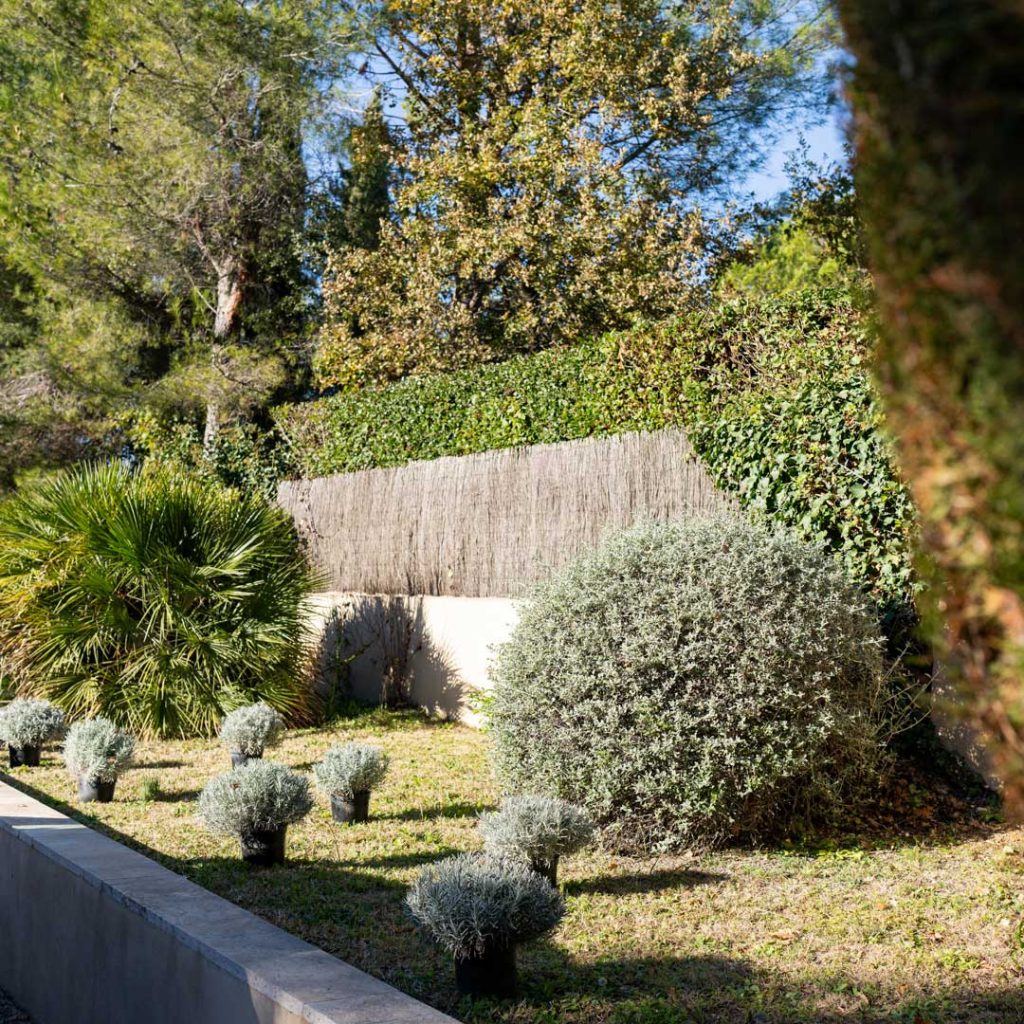 amenagement paysager jardin méditerraneen