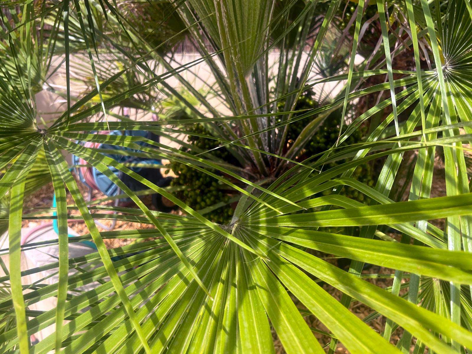 conception jardin aix en provence