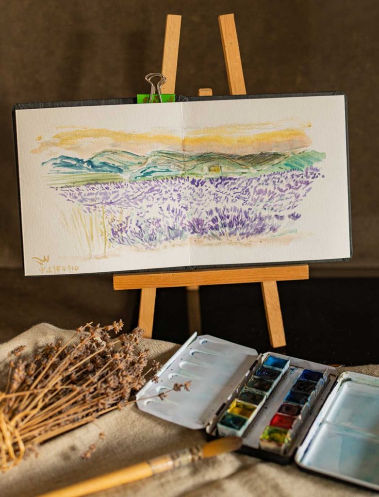 illustration paysage provence