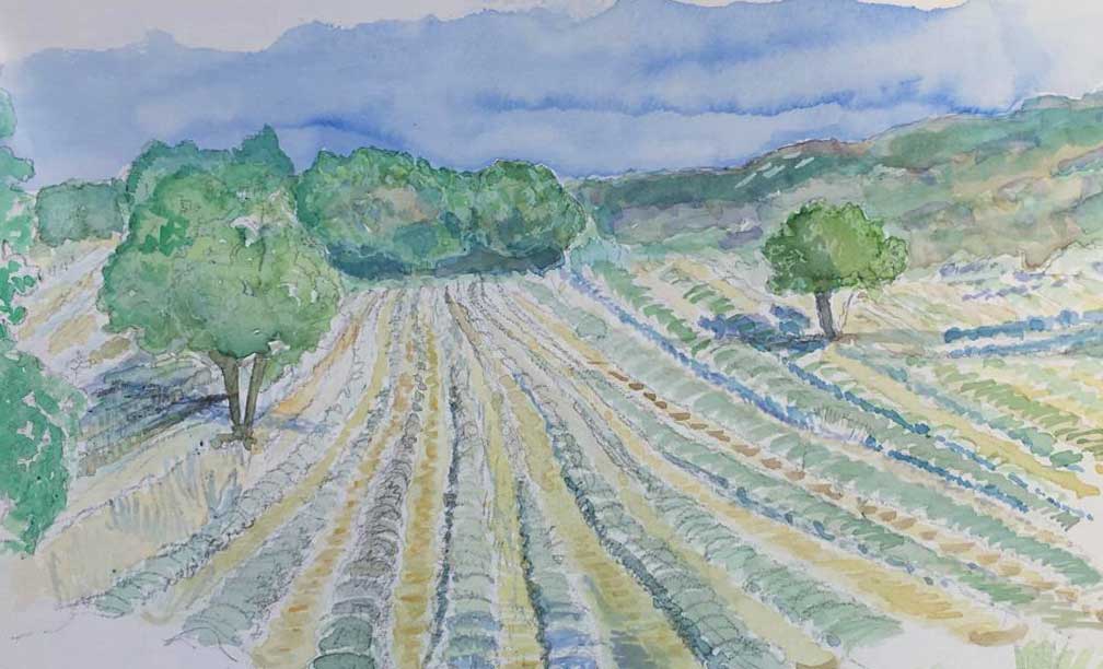 illustration personnalisee paysage