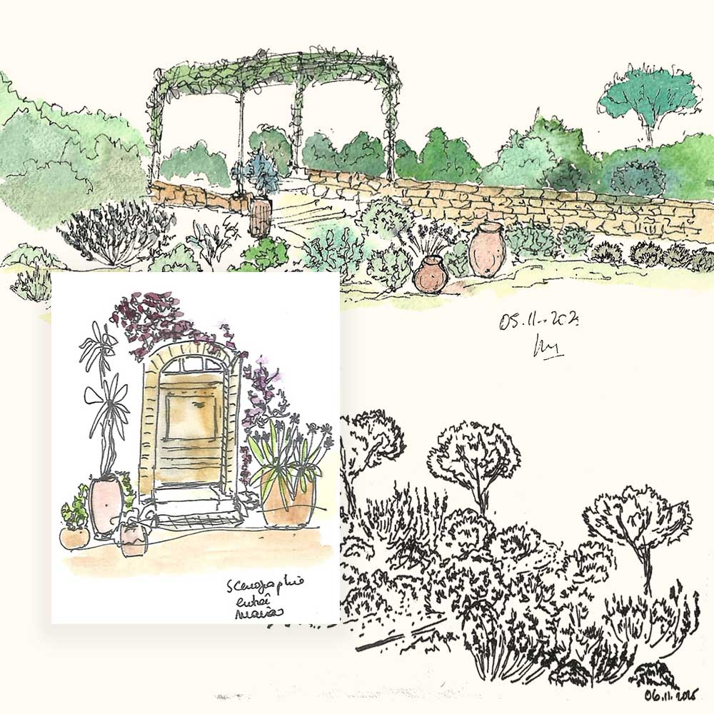 scenographie paysage jardin provence