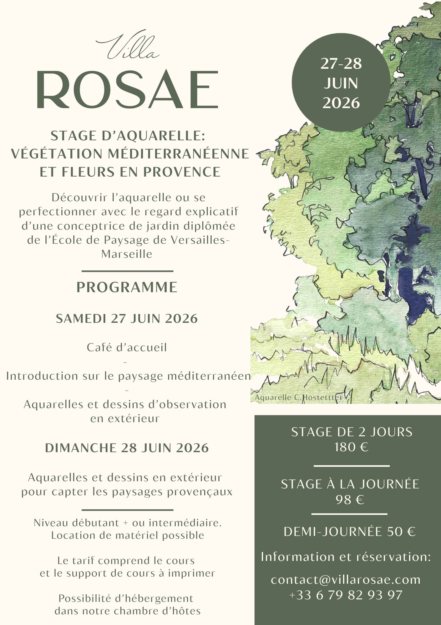 stage d'aquarelle : végétation méditerranéenne et fleurs de provence stage d'aquarelle : végétation méditerranéenne et fleurs de provence